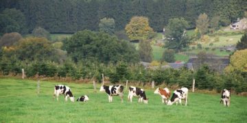 От 15 април стопаните подават заявления за хуманно отношение към животните