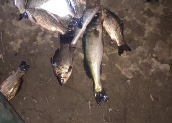 Мъже бракониерстваха на язовира навръх Великден