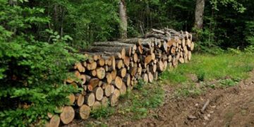 Над 900 проверки за седмица в горите на територията на СЦДП