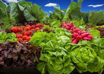 Панаирната площадка е в готовност да поеме функциите на традиционния петъчен пазар в Севлиево