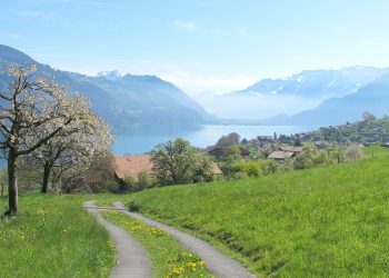 Да живееш под карантина на село