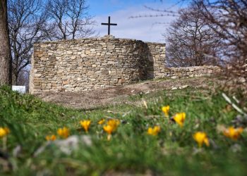 Посещенията на Хоталич – разрешени от утре