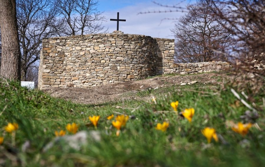 Посещенията на Хоталич – разрешени от утре