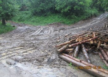 Дърводобивна фирма разкаля общински път, грози я глоба до 3000 лв.