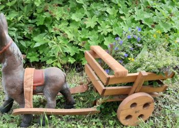 Разказ за президента, царя и билковото царство