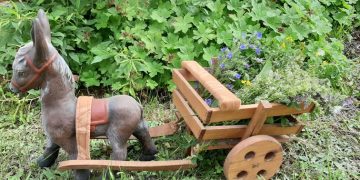 Разказ за президента, царя и билковото царство