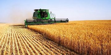 Жътва е, време за предпазване от пожари