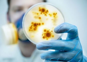 Клуб “Здрав живот и холистично здраве” представя следващата актуална тема –  инфекцията