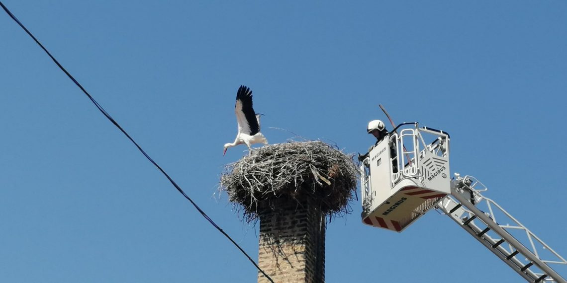 Пожарникари от Севлиево и Габрово спасиха бедстващо щъркелче