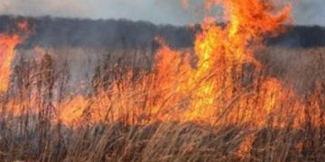 Стопаните уведомяват Разплащателната агенция за опожарените си площи