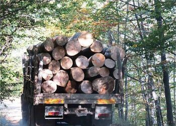 Горските задържаха два автомобила на нарушители в севлиевски землища