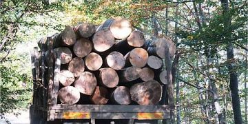 Горските задържаха два автомобила на нарушители в севлиевски землища