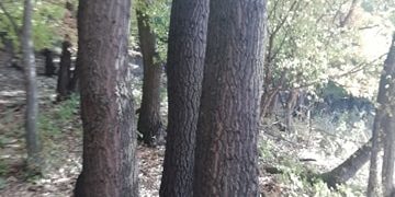 Пирамидата край Петко Славейков – реалност или измислица?