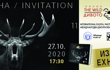 Общината отново ще е домакин на международния фото салон “Дивото”