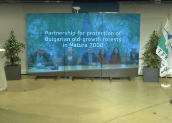 Старите гори на България спечелиха вота на европейските граждани в наградите на Европейската комисия “Натура 2000”