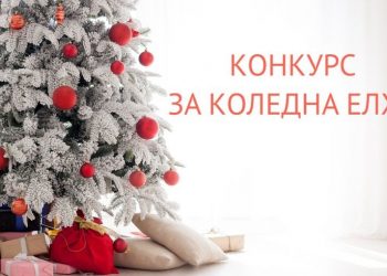 Гласувайте за най-красивата коледна елха