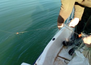 Извадиха бракониерски мрежи от язовира