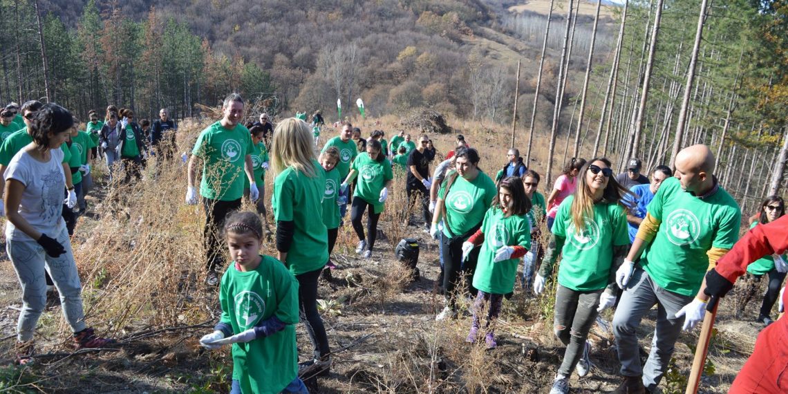 Гората.бг пита на кои градове да дари 200 000 дървета през пролетта