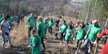 Гората.бг пита на кои градове да дари 200 000 дървета през пролетта