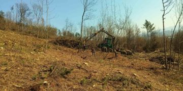 Седмицата на гората в Севлиево – посветена на залесяването на Крушевския баир
