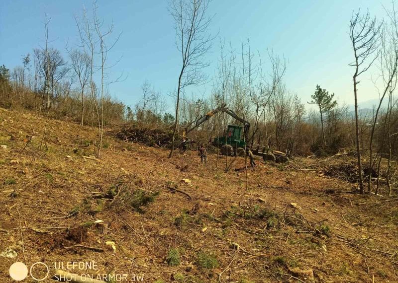 Седмицата на гората в Севлиево – посветена на залесяването на Крушевския баир