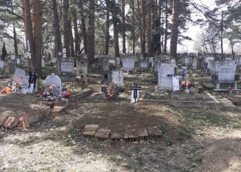 И в Шумата вече е по-чисто