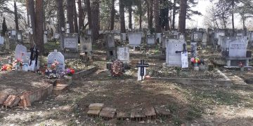 И в Шумата вече е по-чисто