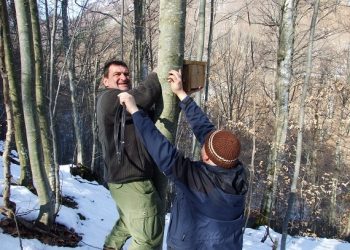 Мониторинг на видовете от семейство Сънливцови провеждат в парк “Централен Балкан”
