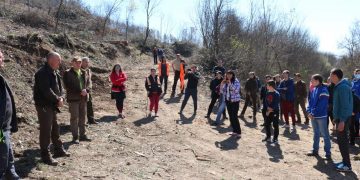 Равносметката: Залесени са 5 дка, от предвидените 25 дка, на Крушевски баир