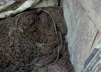 Масирани проверки за бракониери и превоз на риба