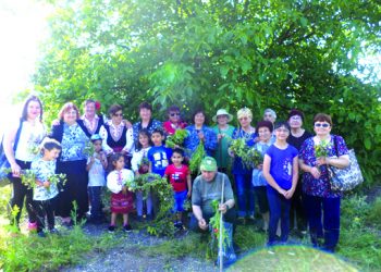 Билки по зазоряване браха в Крамолин