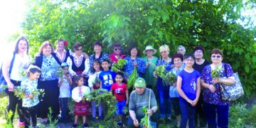 Билки по зазоряване браха в Крамолин