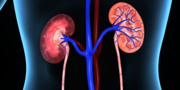 Безплатен скрининг за страдащи от бъбречно-каменна болест