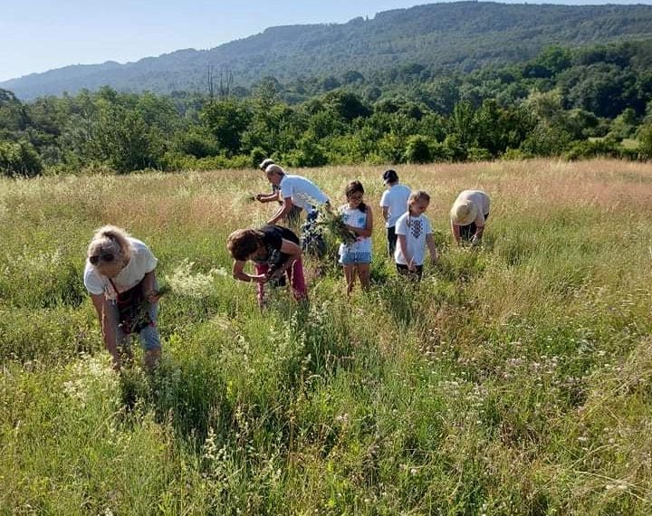 Свети Дух и Еньовден празнуваха в Богатово