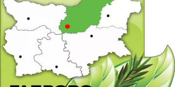 518 дка нови гори създаде тази пролет Северноцентрално държавно предприятие