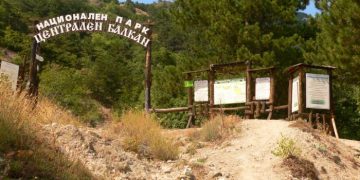 Екскурзии с водач в буковите гори на Национален парк “Централен Балкан”