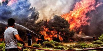 Изгоряха 17 дка гори заради небрежност, от СЦДП напомнят забраната за палене на огън