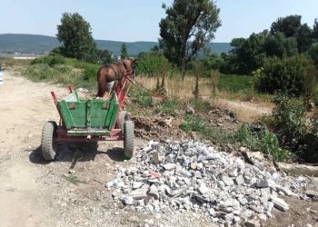 Малолетни правят бизнес с каруци, пълни с боклук. Цената плащат севлиевци