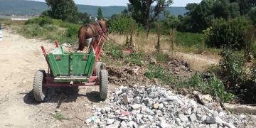 Малолетни правят бизнес с каруци, пълни с боклук. Цената плащат севлиевци