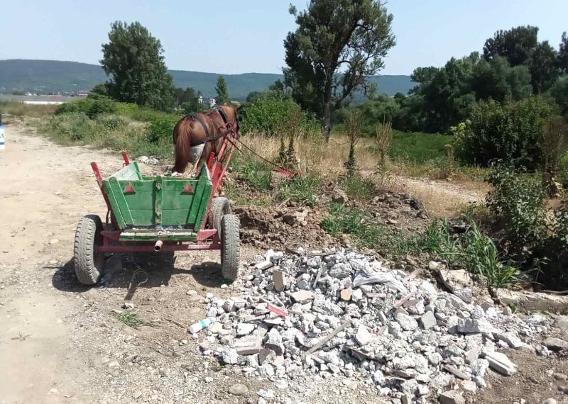 Малолетни правят бизнес с каруци, пълни с боклук. Цената плащат севлиевци