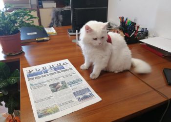 Хайди Любопиткова на гости във в. “Росица”