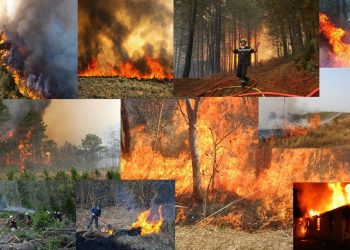 Плевня изгоря до основи в Ряховците! От пожарната напомниха за повече внимание