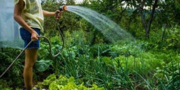 Кметът забрани поливането с питейна вода