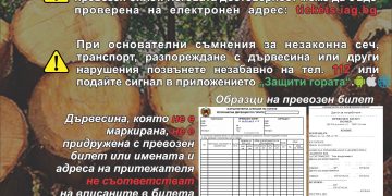 СЦДП с мащабна информационна кампания относно закупуването на дърва за огрев