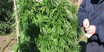 Беглец с две присъди бе задържан в Унгария и върнат в затвора