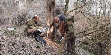 Откриха бобър на територията на ДГС Бяла