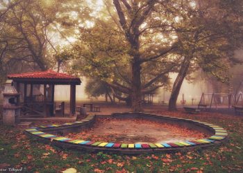 Общината търси проектант за парк “Черничките”