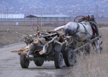 Незаконно добити дърва за огрев може да бъдат конфискувани