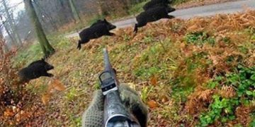 Стартът на ловния сезон – без нарушения