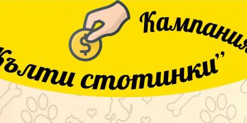 Близо 1500 лева събраха в кампанията “Жълти стотинки”